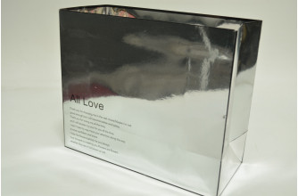 Пластиковая сумка "Ail Love" 30см*25см*13см серебро (0153)