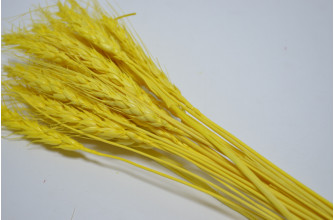 Пшеница (25шт) лимон (0753)