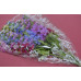 Пакет для цветов "Елена" прозрачный с рисунком 50см*60см*12см (50шт) (3108)
