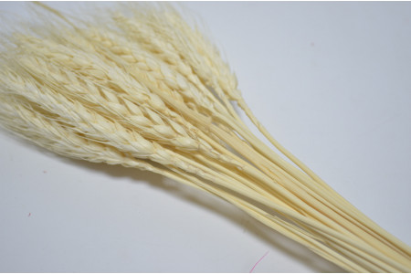 Пшеница (25шт) белая (2517)