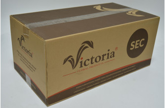 Губка для сухоцвета "Victoria"" 23*11*7см (20шт) (0044)