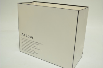 Пластиковая сумка "Ail Love" 30см*25см*13см белый (8448)