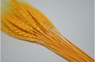 Пшеница (25шт) оранжевая (0262)